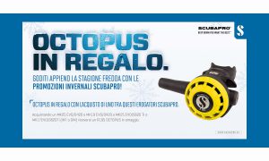 octopus regalo scubapro