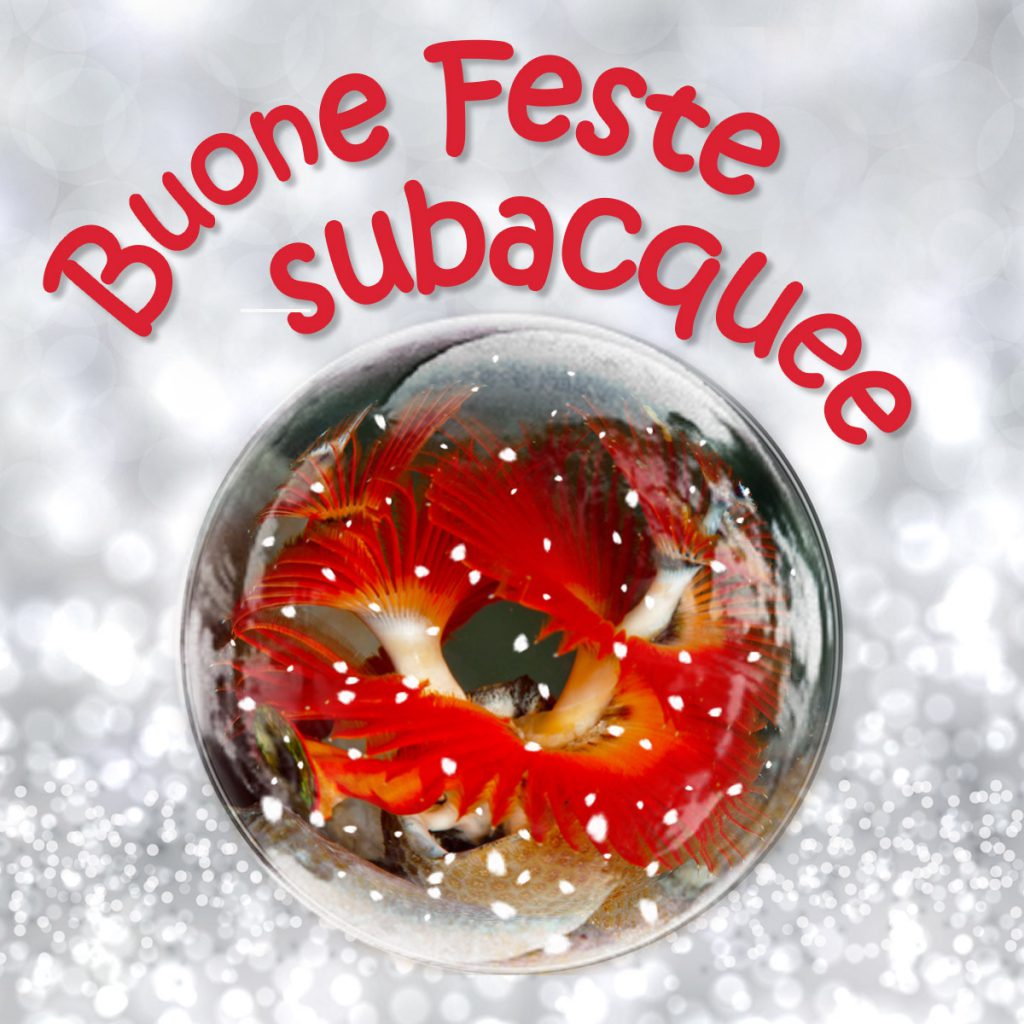 buone feste