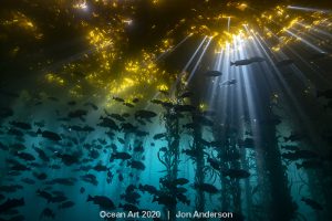 ocean art underwater 2020