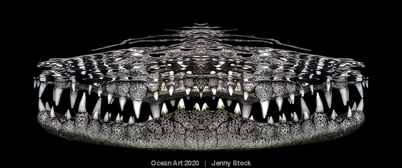 ocean art underwater 2020