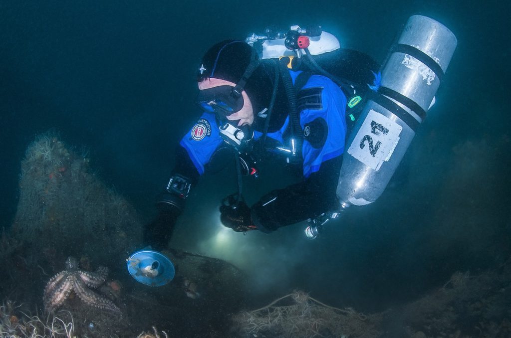 attacco alla baia di Valona