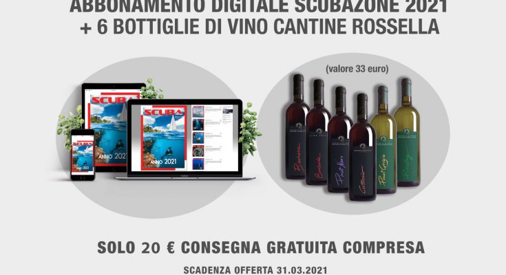 bottiglie di vino