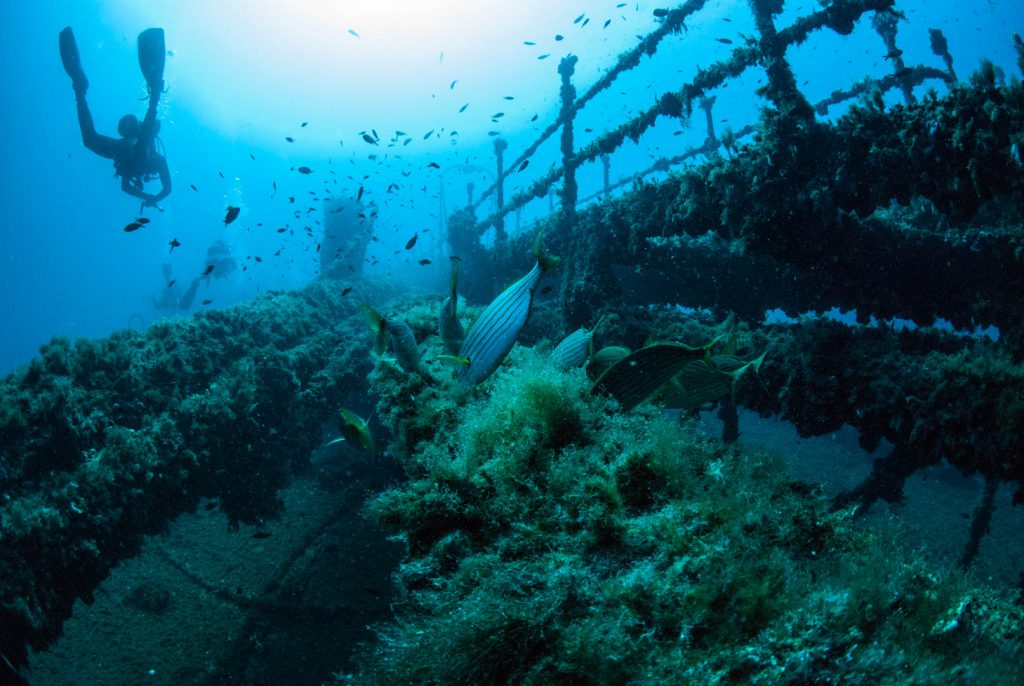 crociere sub in sicilia