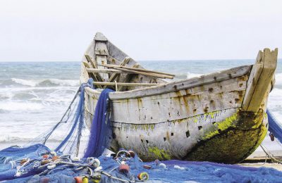 il pesce è finito