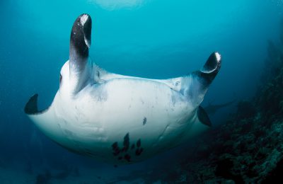 le migliori immersioni al mondo