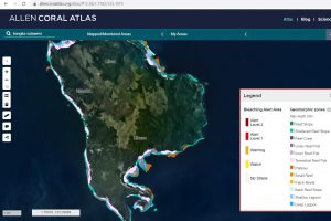 satellite monitora reef