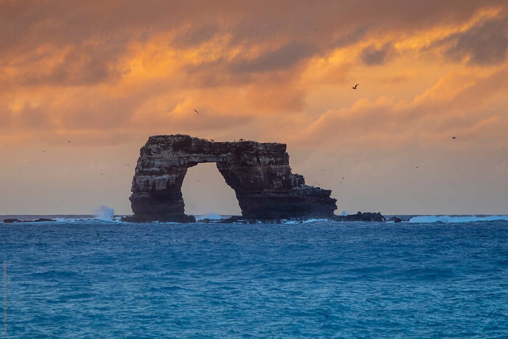 arco di darwin