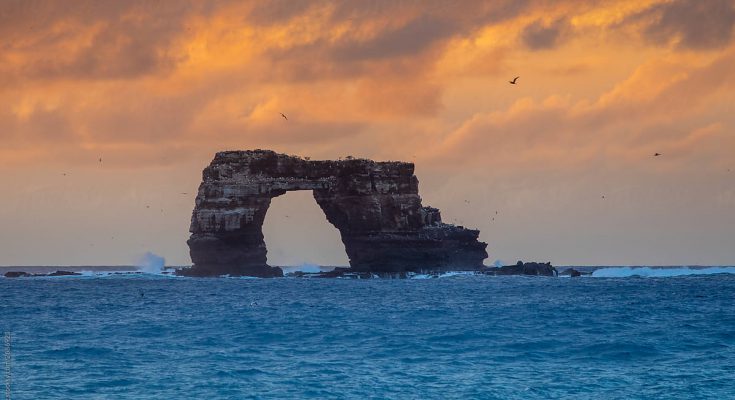 le migliori immersioni al mondo