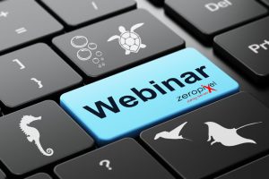 webinar pesci pagliaccio