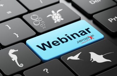 webinar pesci pagliaccio