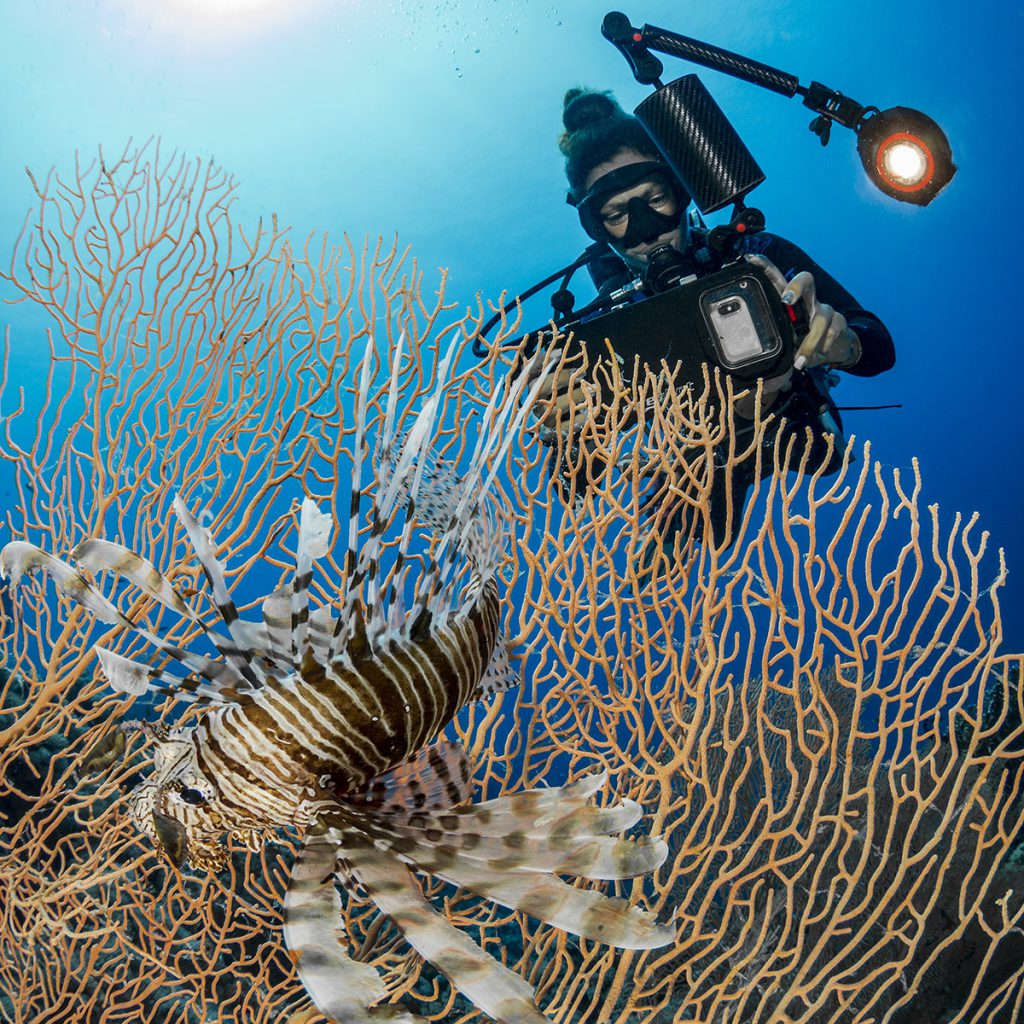 Sott'acqua con lo smartphone, fotografia subacquea gorgonie e pesce scorpione