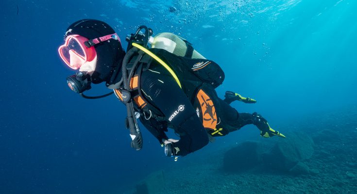 ricerca di nemo