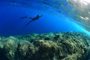 Campionati Italiani di Fotografia Subacquea Digitale