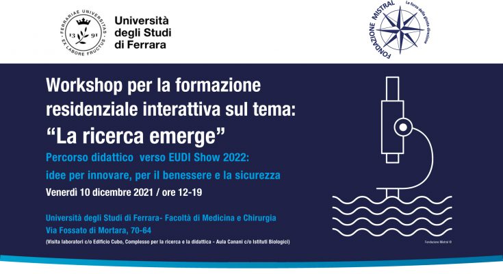 la ricerca emerge