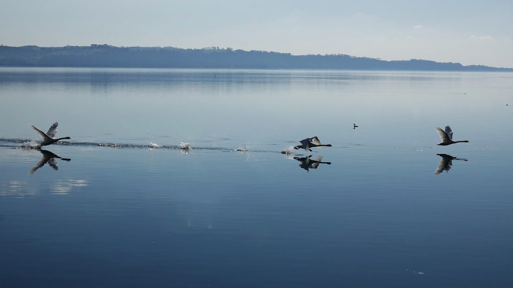 muore sub lago bracciano