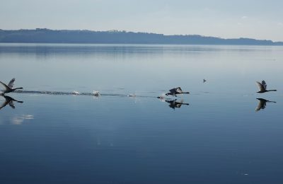 muore sub lago bracciano