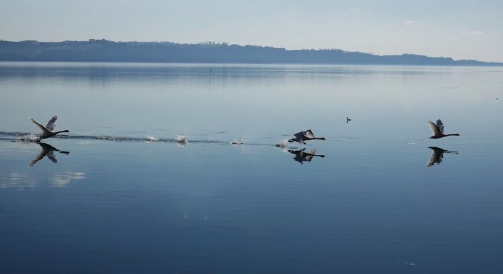 muore sub lago bracciano