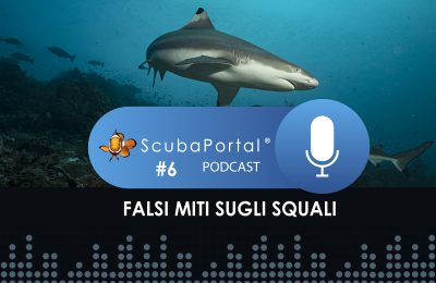 podcast 6 falsi miti squali