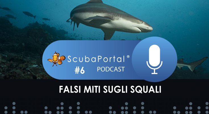 podcast 6 falsi miti squali