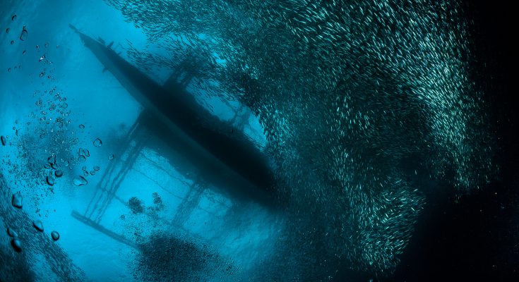 guida al diving alle Filippine