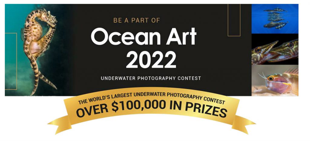 ocean art 2022