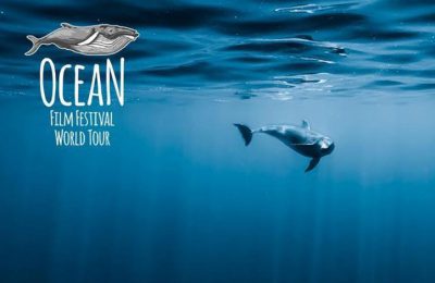 ocean film festival