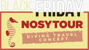 black friday nosytour