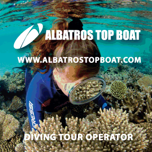 Albatros Top Boat 2023