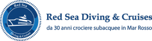 red sea diving