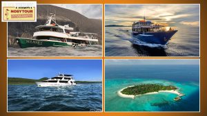 nosytour black friday offerte