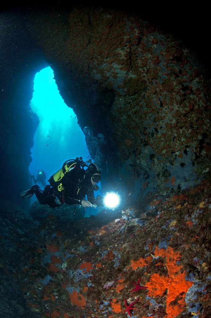 immersione a ponza