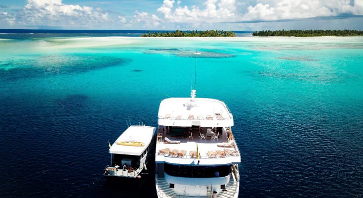 Albatros Top Boat