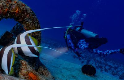 Scuba diver immersione