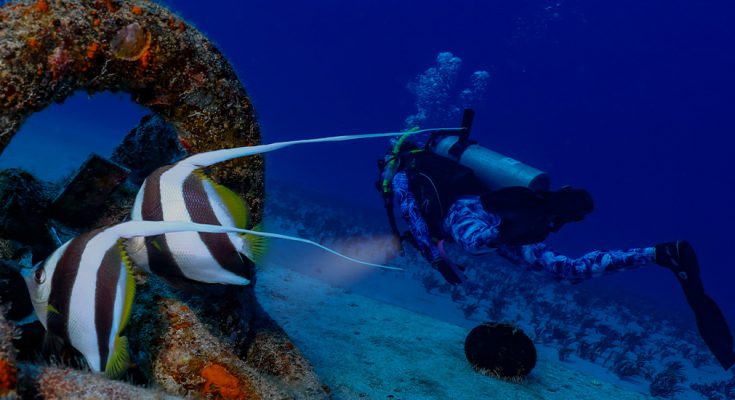 Scuba diver immersione