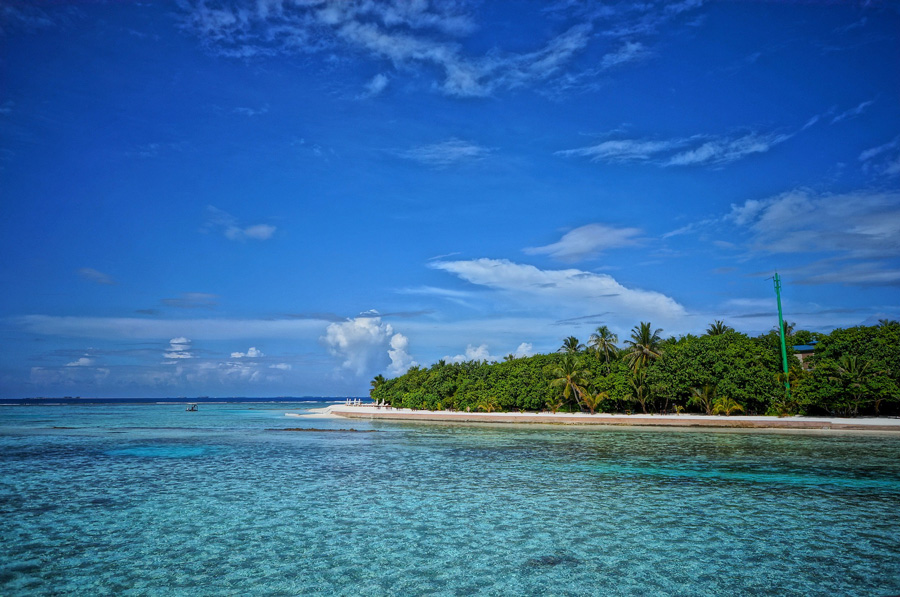 isole maldive natura
