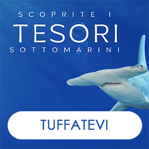 Tahiti 300
