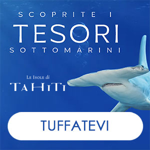 Tahiti 300