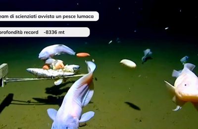 Rpesce record di profondità in giappone