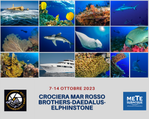 Offerta Mar rosso Mete Subacquee