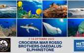 offerta crociera subacquea mar rosso