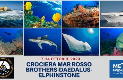 offerta crociera subacquea mar rosso