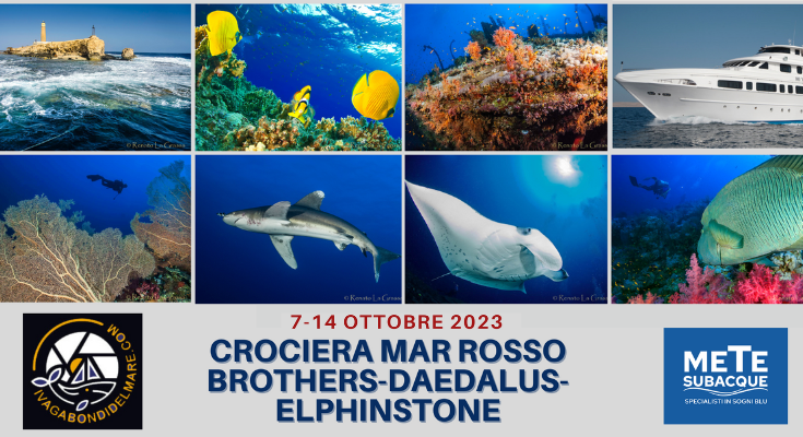 offerta crociera subacquea mar rosso