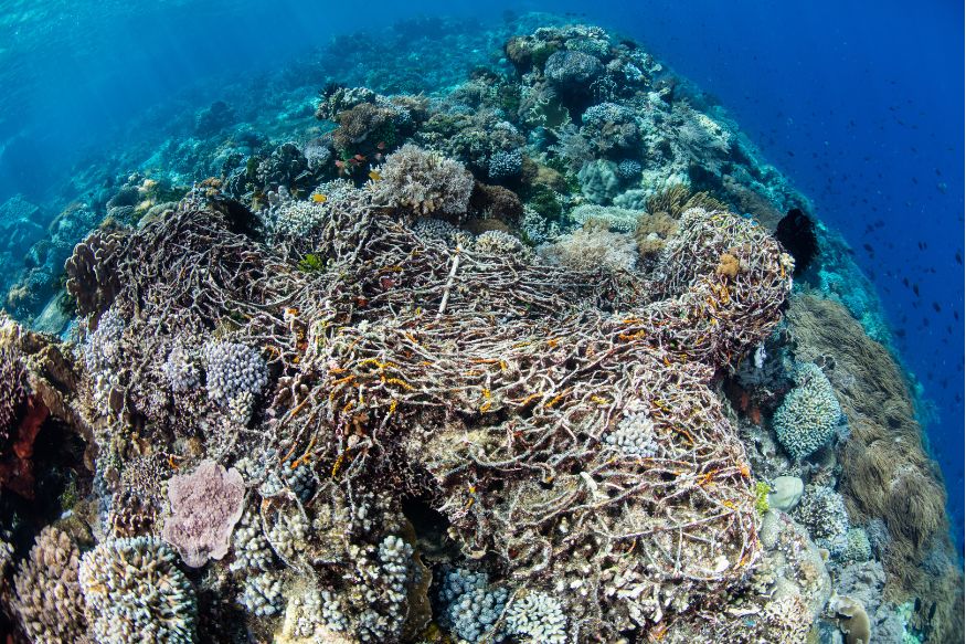 barriera corallina morta rete pesca abbandonata
