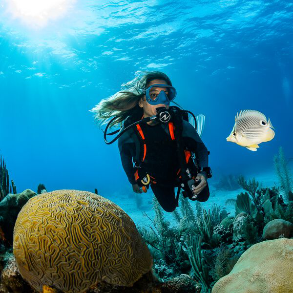 aqualung conservazione barriera corallina