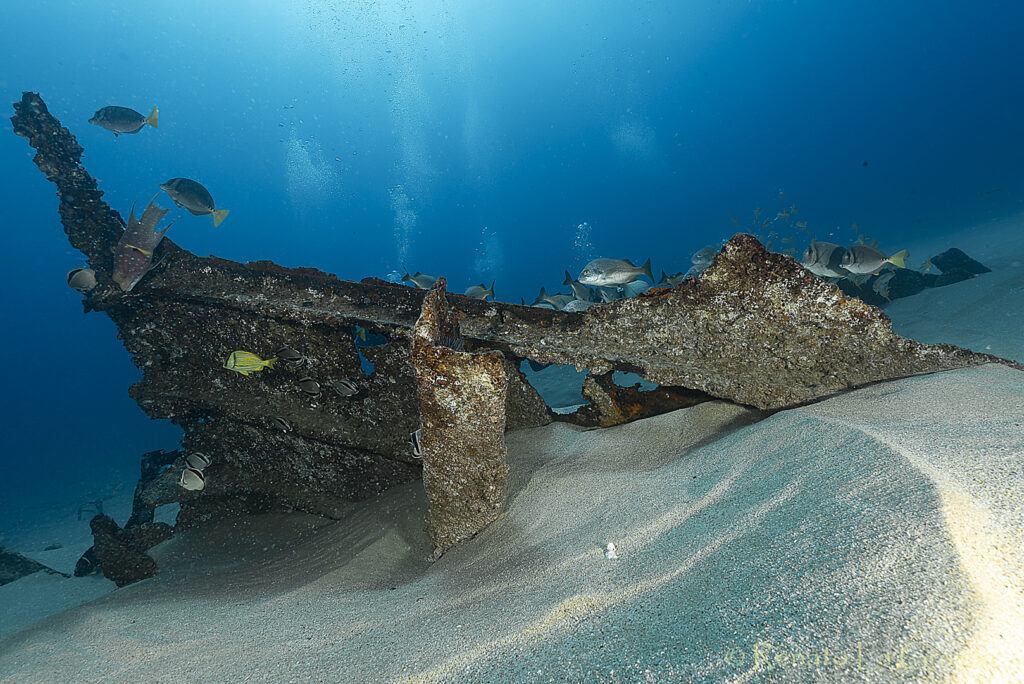 relitto sub in baja california