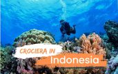 Crociera con nosytour immersioni indonesia