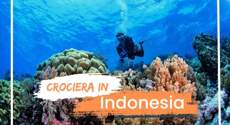 Crociera con nosytour immersioni indonesia