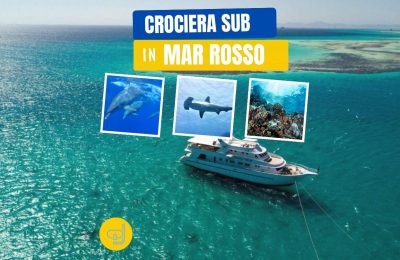 crociera in mar rosso con albatros top boat