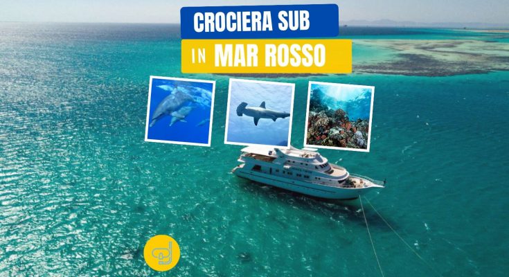 crociera in mar rosso con albatros top boat