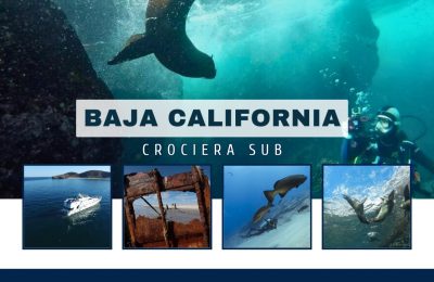 crociera sub Baja California